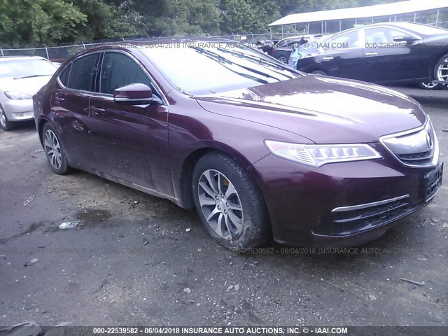 19UUB1F52FA003152 - 2015 ACURA TLX TECH BURGUNDY photo 1
