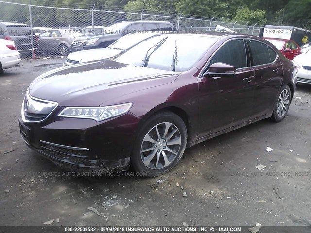 19UUB1F52FA003152 - 2015 ACURA TLX TECH BURGUNDY photo 2