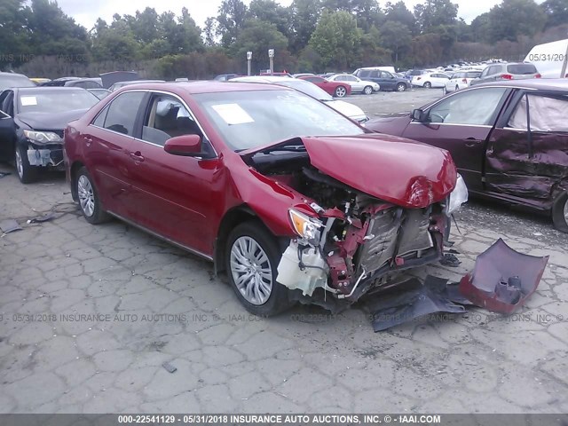 4T4BF1FK3DR282981 - 2013 TOYOTA CAMRY L/SE/LE/XLE RED photo 1