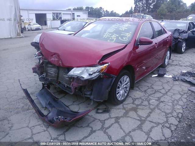 4T4BF1FK3DR282981 - 2013 TOYOTA CAMRY L/SE/LE/XLE RED photo 2