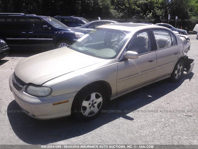 1G1NE52J53M512465 - 2003 CHEVROLET MALIBU LS GOLD photo 2