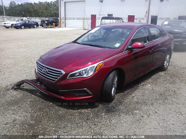 5NPE24AF5GH271224 - 2016 HYUNDAI SONATA SE 红色 照片 2