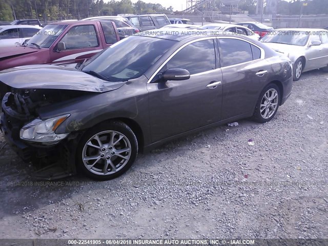 1N4AA5AP7CC839064 - 2012 NISSAN MAXIMA S/SV Dark Brown photo 2