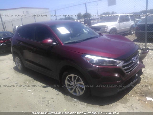 KM8J23A47HU254791 - 2017 HYUNDAI TUCSON SE BURGUNDY photo 1