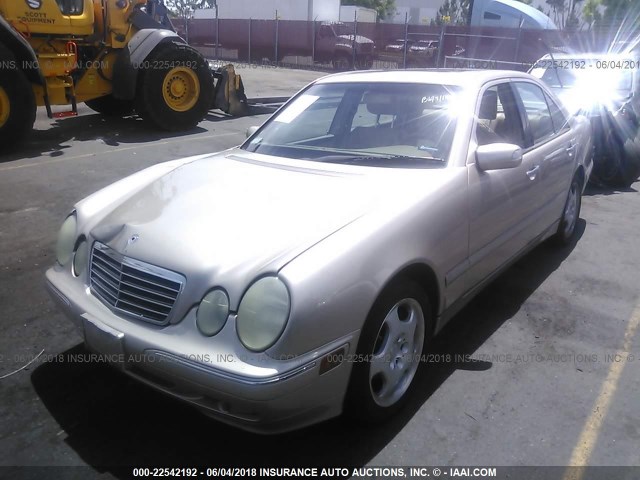 WDBJF70J91B294071 - 2001 MERCEDES-BENZ E 430 GOLD photo 2