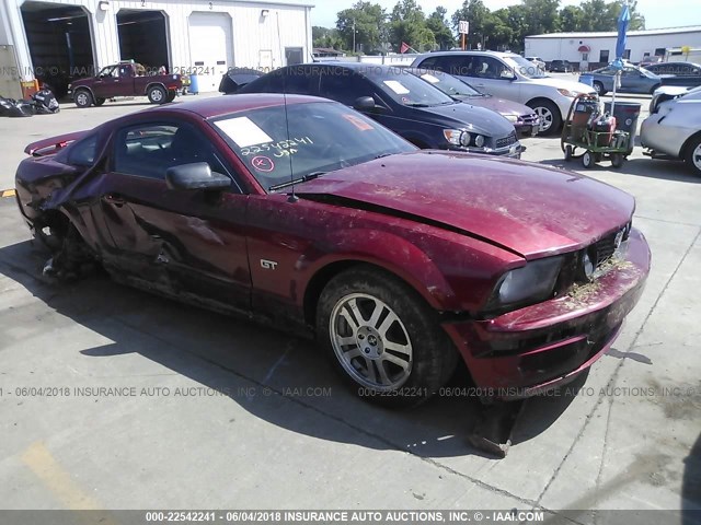 1ZVHT82H165227377 - 2006 FORD MUSTANG GT RED photo 1