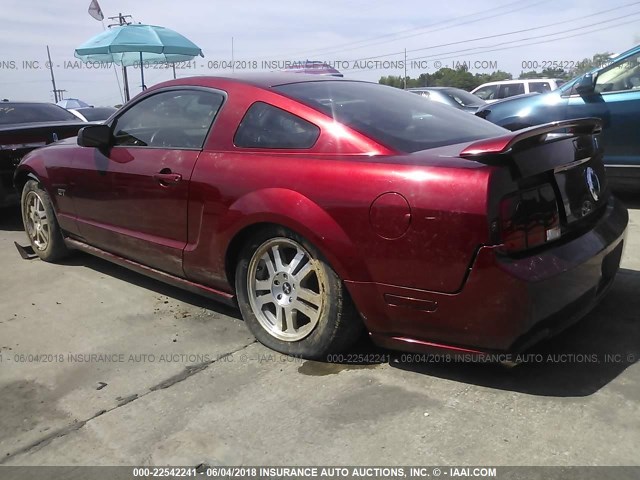 1ZVHT82H165227377 - 2006 FORD MUSTANG GT RED photo 3