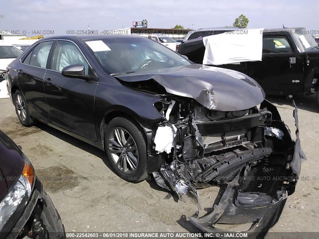 4T1BF1FKXHU360219 - 2017 TOYOTA CAMRY LE/XLE/SE/XSE GRAY photo 1