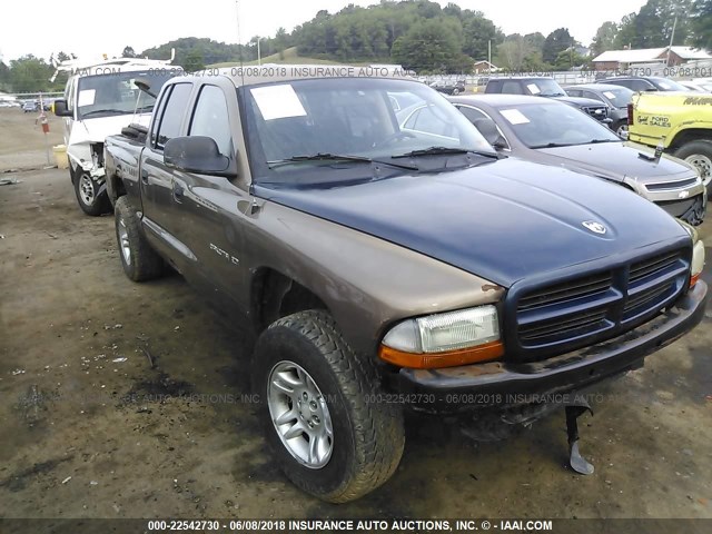 1B7GG2AX71S205032 - 2001 DODGE DAKOTA QUAD TAN photo 1