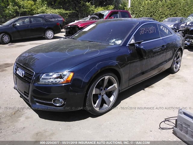 WAUDK78T29A026817 - 2009 AUDI A5 QUATTRO Dark Blue photo 2