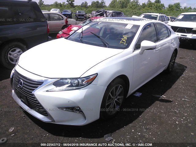 JTHBW1GG1G2108026 - 2016 LEXUS ES 300H WHITE photo 2