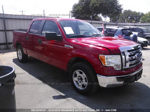 1FTEW1C85AFA20707 - 2010 FORD F150 SUPERCREW RED photo 1