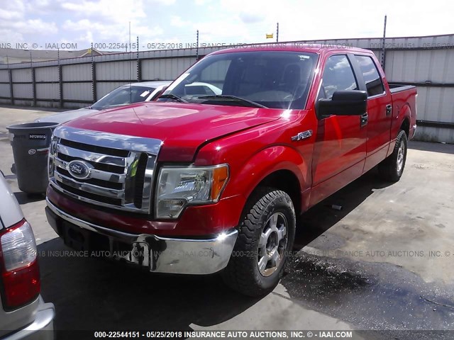 1FTEW1C85AFA20707 - 2010 FORD F150 SUPERCREW RED photo 2