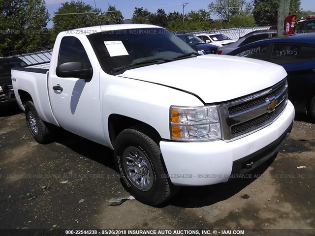 1GCEK14078Z185977 - 2008 CHEVROLET SILVERADO K1500 WHITE photo 1