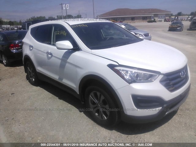 5XYZTDLB9DG023117 - 2013 HYUNDAI SANTA FE SPORT  WHITE photo 1