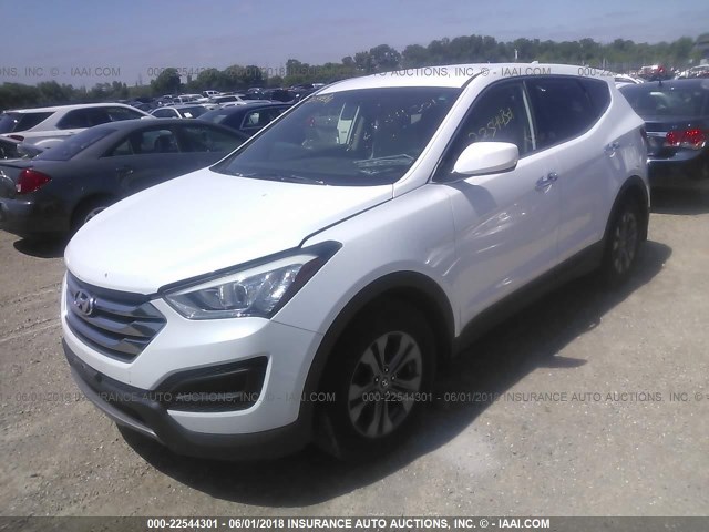 5XYZTDLB9DG023117 - 2013 HYUNDAI SANTA FE SPORT  WHITE photo 2