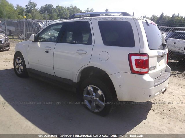 1FMCU9EG9AKD41281 - 2010 FORD ESCAPE LIMITED WHITE photo 3