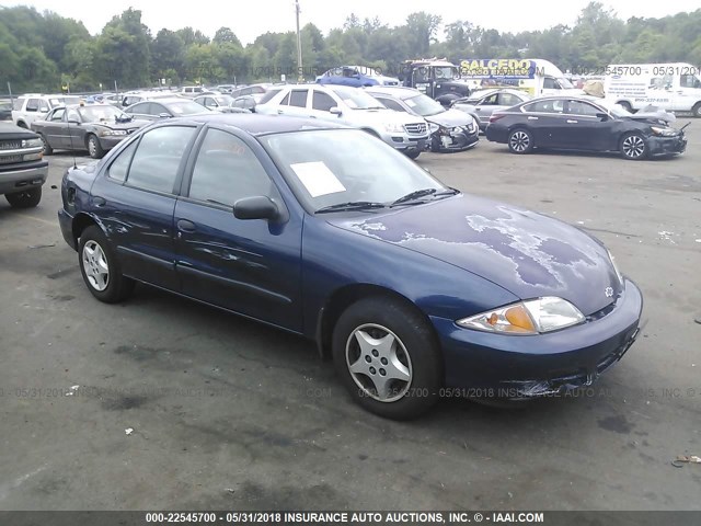 1G1JC524827109107 - 2002 CHEVROLET CAVALIER CNG BLUE photo 1