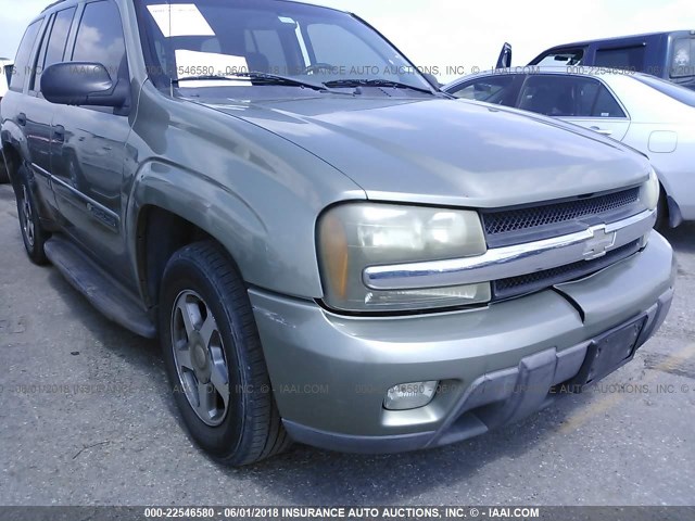 1GNDS13S432221972 - 2003 CHEVROLET TRAILBLAZER  GREEN photo 6