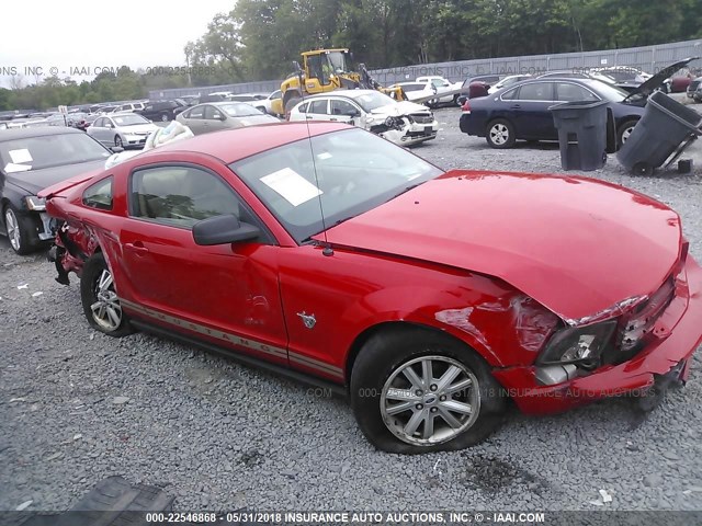 1ZVHT80N495108493 - 2009 FORD MUSTANG RED photo 6