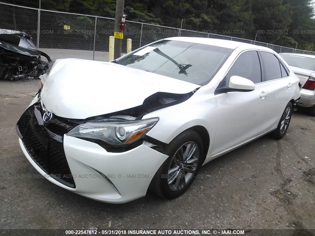 4T1BF1FK8GU158851 - 2016 TOYOTA CAMRY LE/XLE/SE/XSE WHITE photo 2
