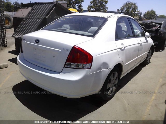 KNAFE222795664234 - 2009 KIA SPECTRA EX/LX/SX WHITE photo 4