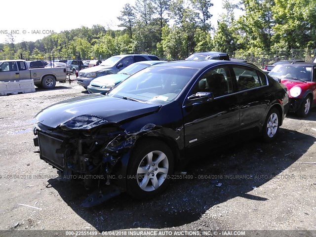 1N4CL21EX8C273621 - 2008 NISSAN ALTIMA HYBRID BLACK photo 2