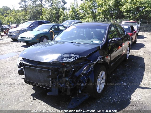 1N4CL21EX8C273621 - 2008 NISSAN ALTIMA HYBRID BLACK photo 6