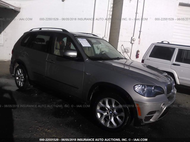 5UXZV4C5XBL739352 - 2011 BMW X5 XDRIVE35I GOLD photo 1