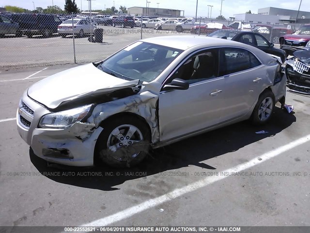 1G11B5SA0DF351200 - 2013 CHEVROLET MALIBU LS შამპანური ფოტო 2