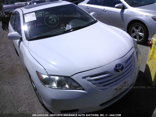 4T1BE46K49U890255 - 2009 TOYOTA CAMRY SE/LE/XLE თეთრი ფოტო 1