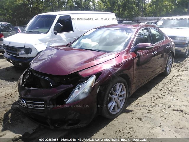 1N4AA5AP5BC825856 - 2011 NISSAN MAXIMA S/SV BURGUNDY photo 1