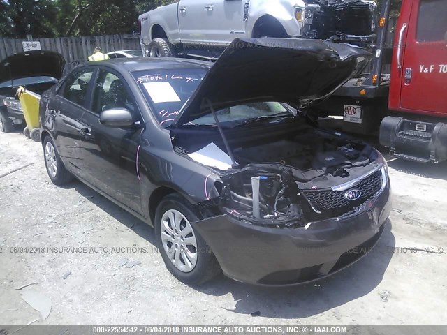 KNAFU4A21C5581728 - 2012 KIA FORTE EX GRAY photo 1