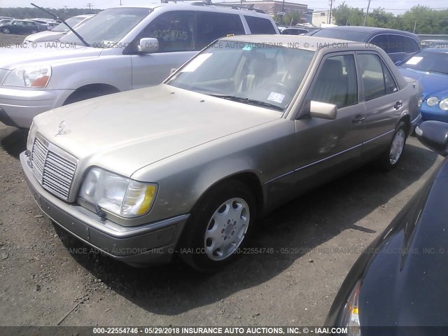 WDBEB31E0SC235445 - 1995 MERCEDES-BENZ E 300D/300D SPECIAL GOLD photo 2