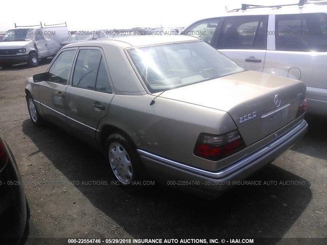 WDBEB31E0SC235445 - 1995 MERCEDES-BENZ E 300D/300D SPECIAL GOLD photo 3