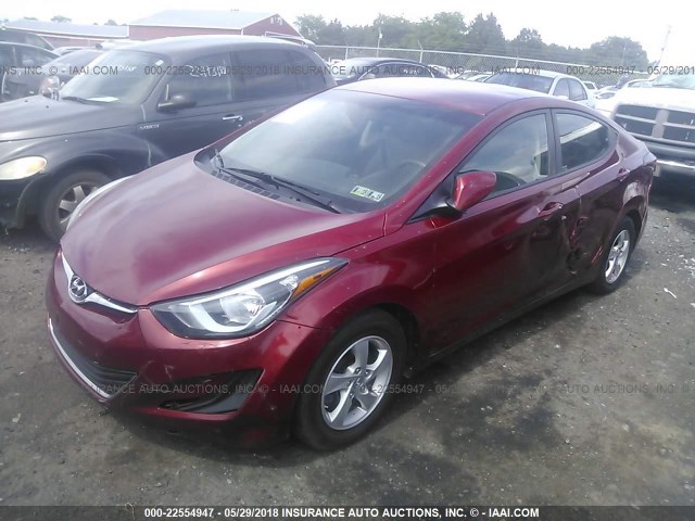 5NPDH4AE9FH567055 - 2015 HYUNDAI ELANTRA SE/SPORT/LIMITED RED photo 2