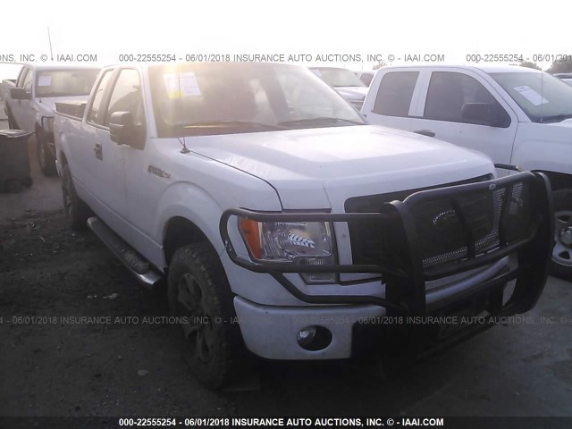 1FTFX1EF6DKG24744 - 2013 FORD F150 SUPER CAB WHITE photo 1