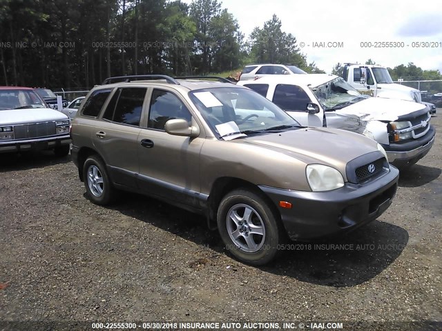 KM8SB12B63U443737 - 2003 HYUNDAI SANTA FE GL GOLD photo 1