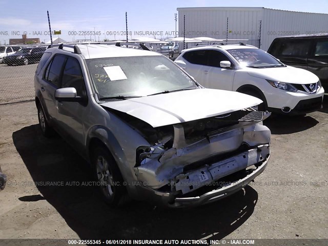 1FMZK02107GA13268 - 2007 FORD FREESTYLE SEL SILVER photo 1