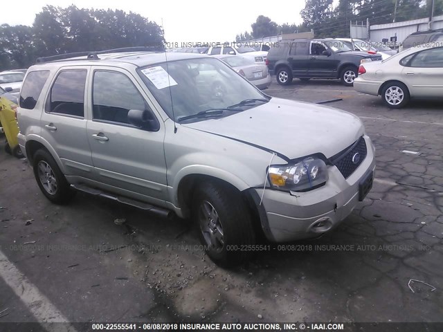 1FMYU04165KA63640 - 2005 FORD ESCAPE LIMITED Champagne photo 1