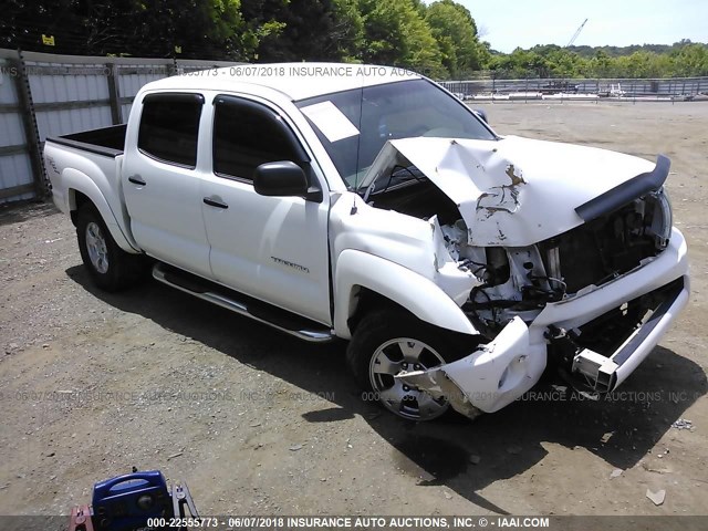 5TELU42N65Z132477 - 2005 TOYOTA TACOMA DOUBLE CAB თეთრი ფოტო 1