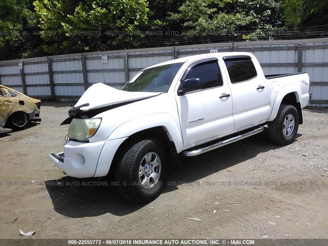 5TELU42N65Z132477 - 2005 TOYOTA TACOMA DOUBLE CAB თეთრი ფოტო 2