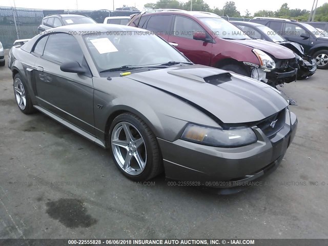 1FAFP42X22F104874 - 2002 FORD MUSTANG GT BROWN photo 1