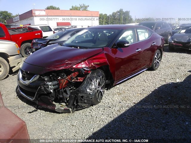 1N4AA6AP3HC455182 - 2017 NISSAN MAXIMA 3.5S/SV/SL/SR/PLAT RED photo 2