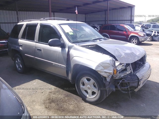 1GNDS13S722485606 - 2002 CHEVROLET TRAILBLAZER  Pewter photo 1