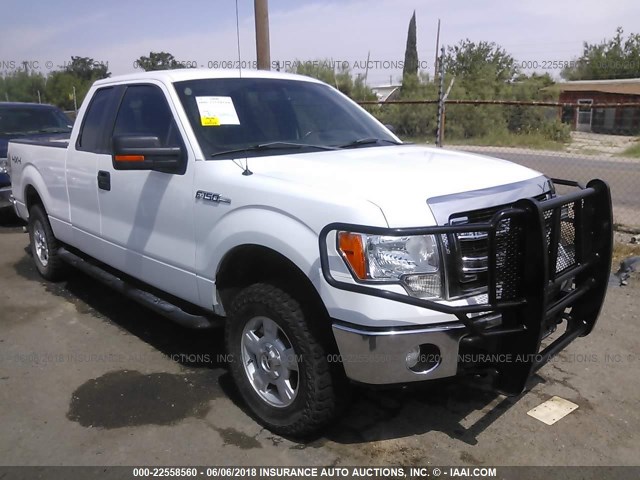 1FTFX1EF7EKE33500 - 2014 FORD F150 SUPER CAB WHITE photo 1