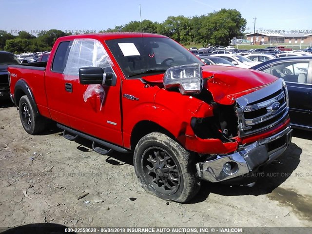 1FTFX1ET5EFA85002 - 2014 FORD F150 SUPER CAB RED photo 1