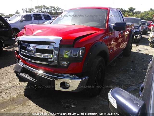 1FTFX1ET5EFA85002 - 2014 FORD F150 SUPER CAB RED photo 2