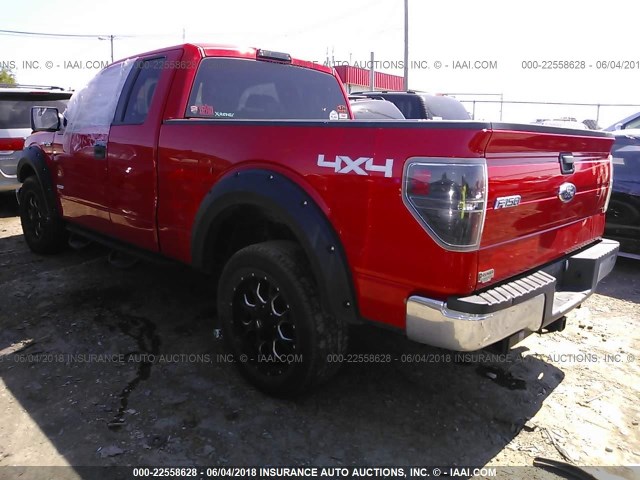 1FTFX1ET5EFA85002 - 2014 FORD F150 SUPER CAB RED photo 3