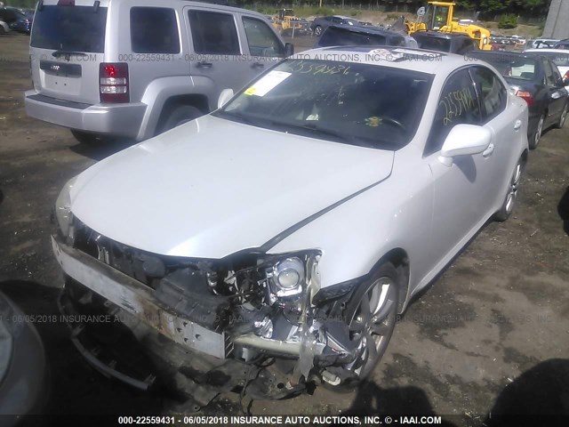 JTHCK262465001965 - 2006 LEXUS IS 250 WHITE photo 2